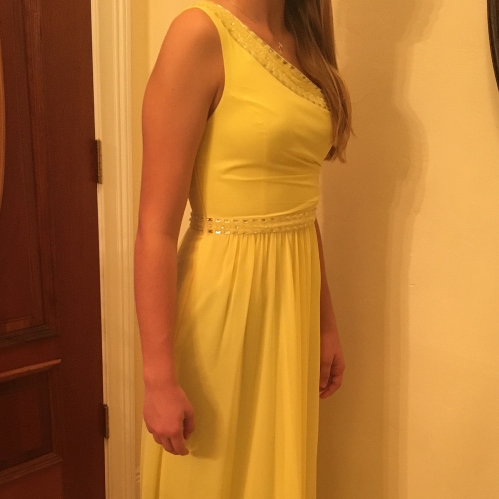 Stunning BCBG Daniele Formal Gown - Picture 2 of 6